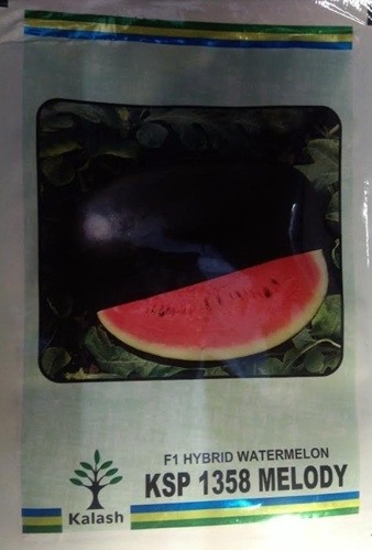 Kalash Seeds F1 KSP 1358 MELODY Watermelon Seeds