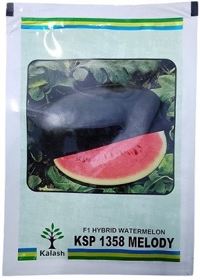 Kalash Seeds F1 KSP 1358 MELODY – Hybrid Watermelon Seeds, Oblong Sweet Fruit (10 gm Pack)