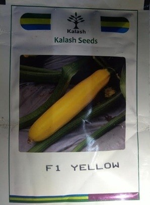 Kalash Seeds F1 KSP 16 Yellow Zucchini Squash