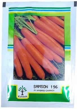 Kalash Seeds F1 Samson 196 Hybrid Carrot Seeds – High Yield, Sweet Flavor, Premium Nantes-Type