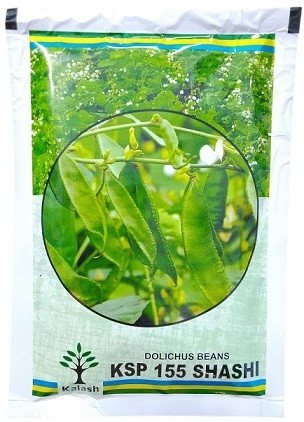 Kalash Seeds KSP 155 SHASHI Dolichus Seem Beans Seeds – Fast-Maturing Tall Variety (200gm Pack)