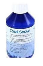 Korallen Zucht Coral Snow