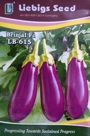 Liebigs Brinjal F1 LB615 Commercial Agriculture Seeds