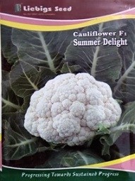 Liebigs Cauliflower F1 Summer Delight Commercial Agriculture Seeds