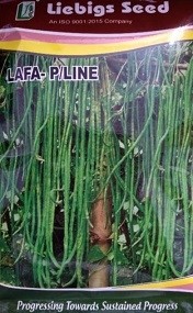 Liebigs LAFA PLINE Beans Commercial Agriculture Seeds