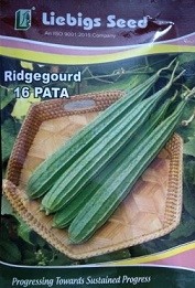 Liebigs Ridgegourd 16 PATA Commercial Agriculture Seeds