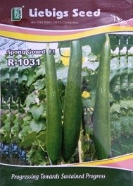 Liebigs Sponge Gourd F1 R1031 Commercial Agriculture Seeds