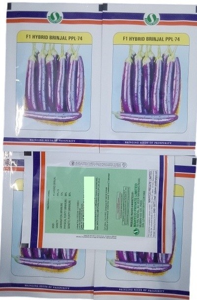 Sungro Seeds F1 PPL 74 Hybrid Brinjal Seeds – 50g Pack of High-Yield Eggplant Variety