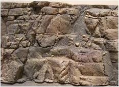 Malawi And Tanganyika Rock Aquarium Decoration Backgrounds