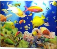 Nano Marine Aquarium 3D Background Posters