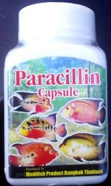 Medifish Paracillin 250mg Capsule