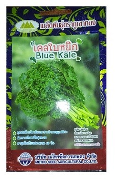 Metro Seeds Blue Kale Gardening Seeds