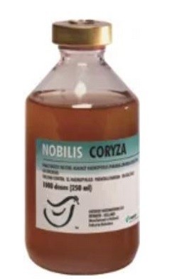 MSD Animal Health NOBILIS Coryza