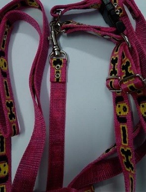 Nylon Dog Collar And Leash Set 