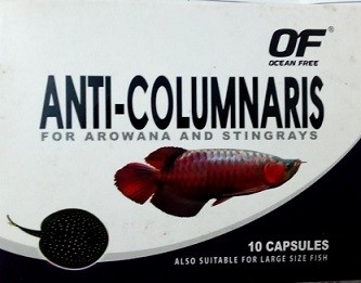 Ocean Free Anti Columnaris 