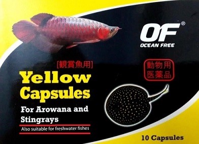 Ocean Free Arowana Yellow Capsule