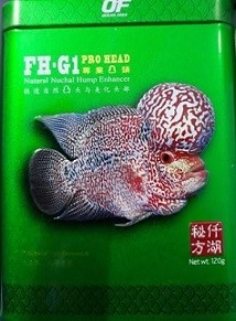 Ocean Free FH G1 Pro HEAD