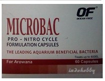 Ocean Free Microbac Arowana