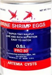 OSI Pure Artemia Eggs 
