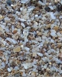 Premium Sea shells Granules