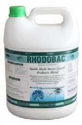 Provet Pharma RHODOBAC 