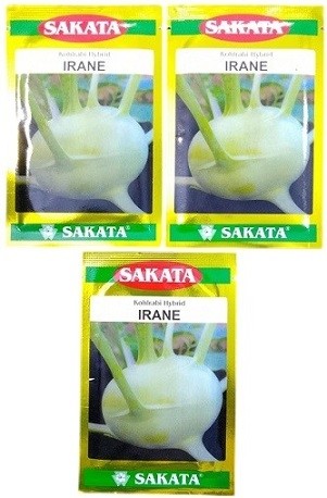Sakata Japan Irane Kohlrabi Hybrid Seeds – Premium F1 Variety for Early Maturity & Semi-Globe Bulbs (30g Pack)