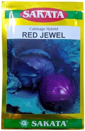 Sakata Japan Red Jewel Hybrid Cabbage Seeds – Premium F1 Red Cabbage Variety