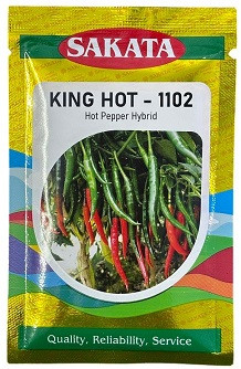 Sakata King Hot 1102 Hybrid Hot Pepper Seeds – High-Yield F1 Variety for Tropical Cultivation