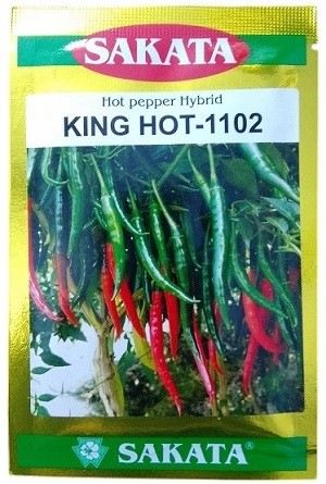 Sakata King Hot 1102 Hybrid Hot Pepper Seeds – High-Yield F1 Variety for Tropical Cultivation