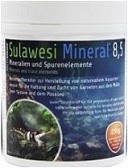Salty Shrimp Sulawesi Mineral Eight Five