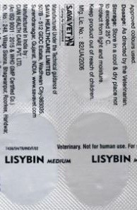 Lisybin large hotsell