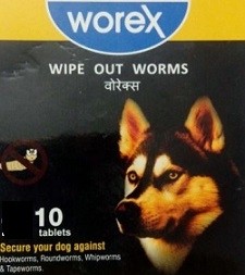 Scientific Remedies Worex