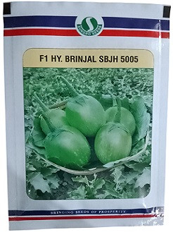 Sungro Seeds F1 SBJH 5005 – Hybrid Brinjal (Eggplant) Seeds, Premium Quality (20 gm Pack)