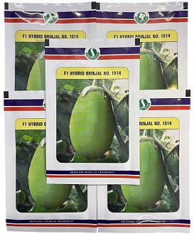 Sungro Seeds F1 No 1014 Hybrid Brinjal Seeds – 50g | High‑Yield Green Variety