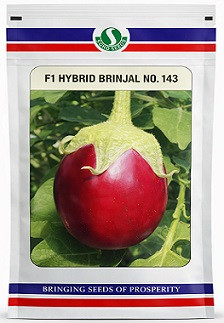 Sungro Seeds F1 No 143 Hybrid Brinjal Seeds – 50g | High‑Yield Round Variety