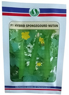 Sungro Seeds Nutan F1 Hybrid Sponge Gourd Seeds – 100g | High‑Yield Luffa Variety