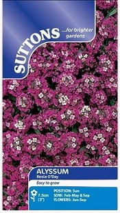 Suttons Alyssum Rosie O’Day Seeds – 550 Seeds Easy‑to‑Grow Fragrant Blooms