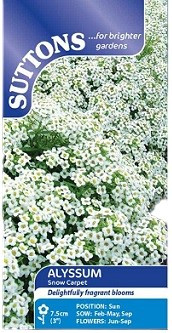 Suttons Alyssum Snow Carpet Seeds – 1400 Seeds Fragrant White Blooms