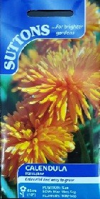 Suttons Calendula Porcupine