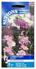 Suttons Candytuft Seeds 