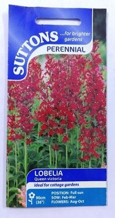 SUTTONS England Lobelia Queen Victoria