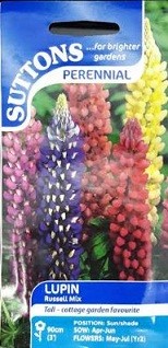 Suttons Lupin Perennial Seeds 