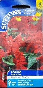 Suttons Salvia Seeds 