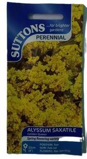 Suttons UK Alyssum Saxatile Golden Queen Seeds 