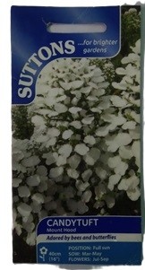 Suttons UK Candytuft Mount Hood Seeds 