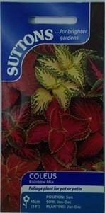 Suttons UK Coleus Rainbow Mix Seeds 