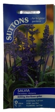 Suttons UK Salvia Farinacea Victoria Seeds 