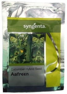 Syngenta AAFREEN Cucumber Hybrid Seed