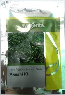 Syngenta AKASHI 10 Hot Pepper Hybrid Seeds