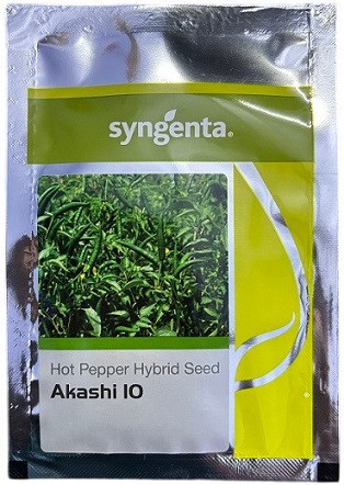 Syngenta AKASHI 10 Hot Pepper Hybrid Seeds – Semi-Erect Vigorous Plants with Green Pungent Fruits (2000 / 8000 Seeds Pack)